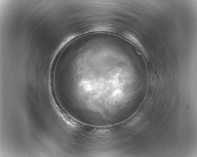 X0000066521043200603171213