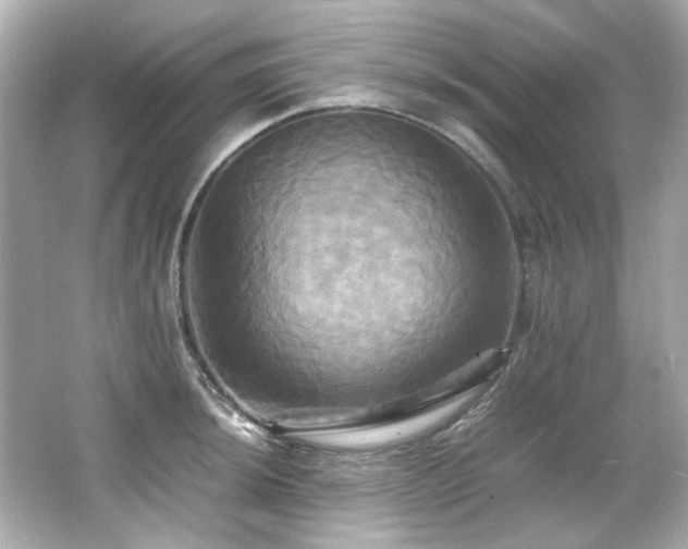 X0000066521044200603171213