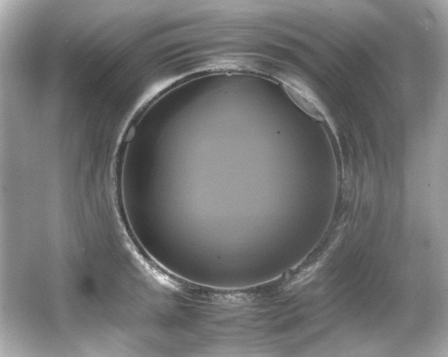 X0000066521045200603171213