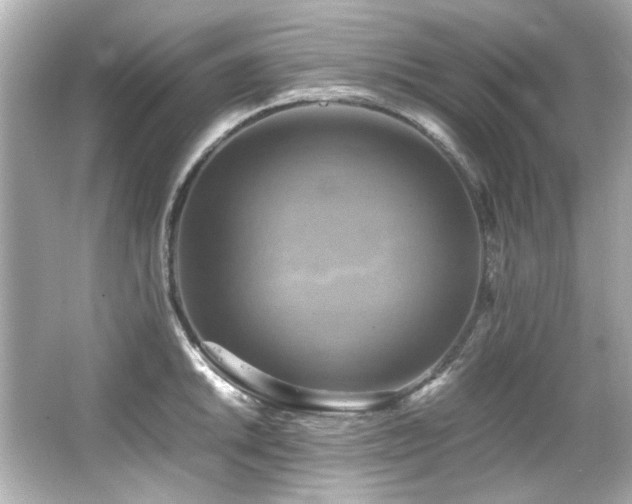 X0000066521046200603171213