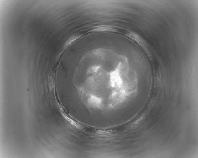 X0000066521049200603171213