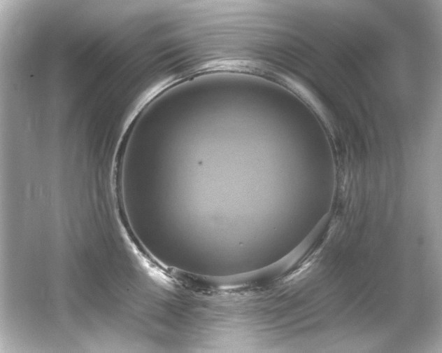 X0000066521050200603171213