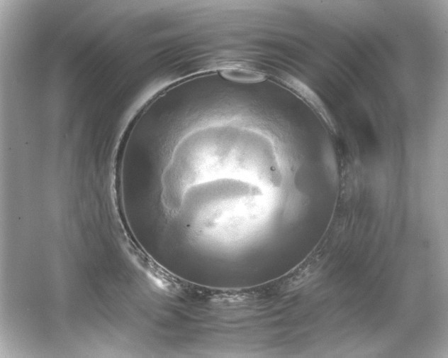 X0000066521051200603171213