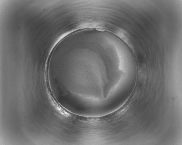 X0000066521052200603171213