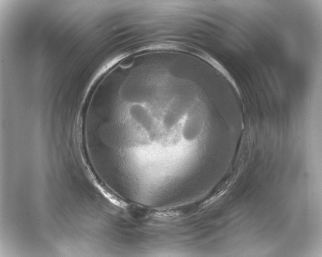 X0000066521053200603171213