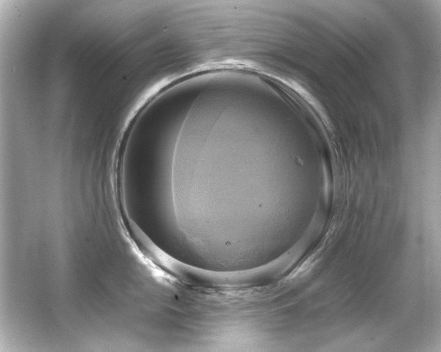 X0000066521054200603171213