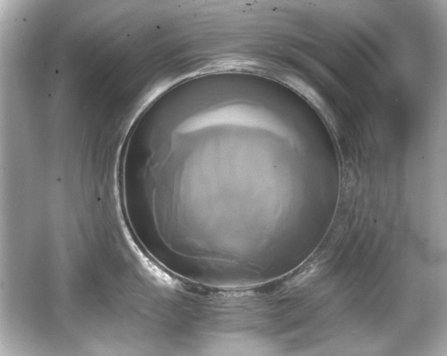 X0000066521055200603171213