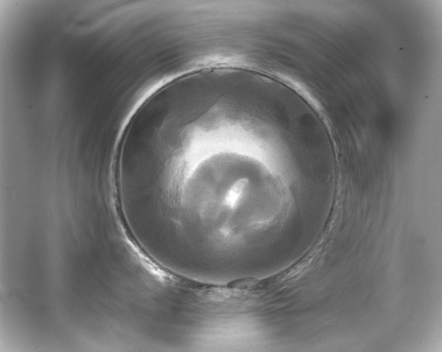 X0000066521056200603171213