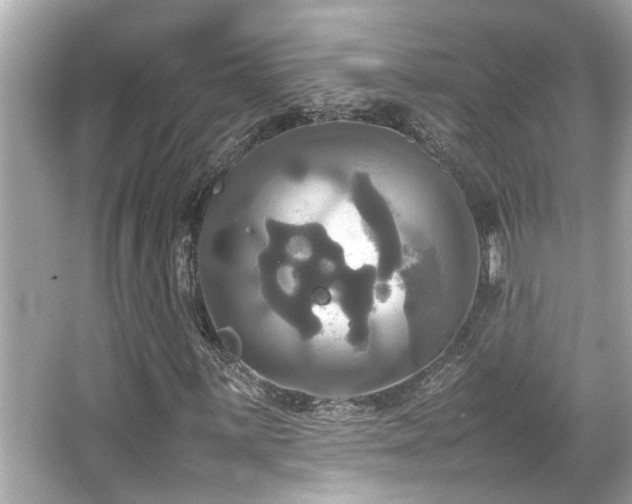 X0000066521059200603171212