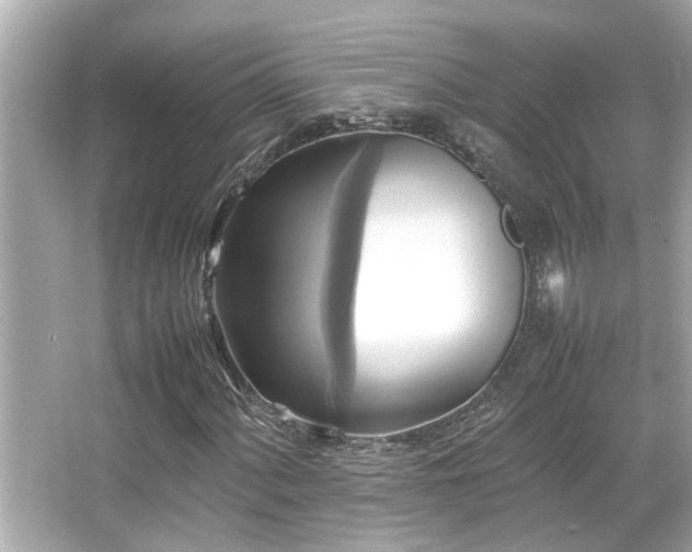 X0000066521060200603171212