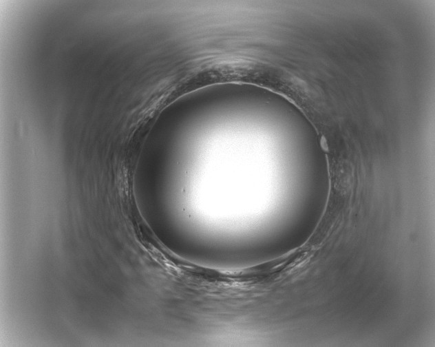 X0000066521061200603171212