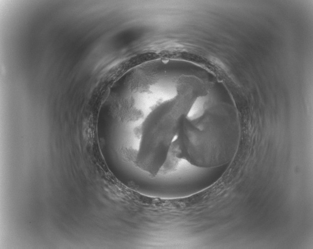 X0000066521063200603171212