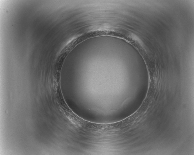 X0000066521064200603171212