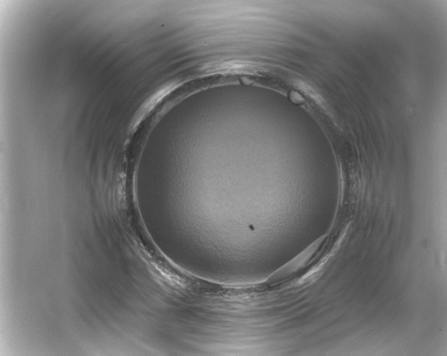 X0000066521066200603171212