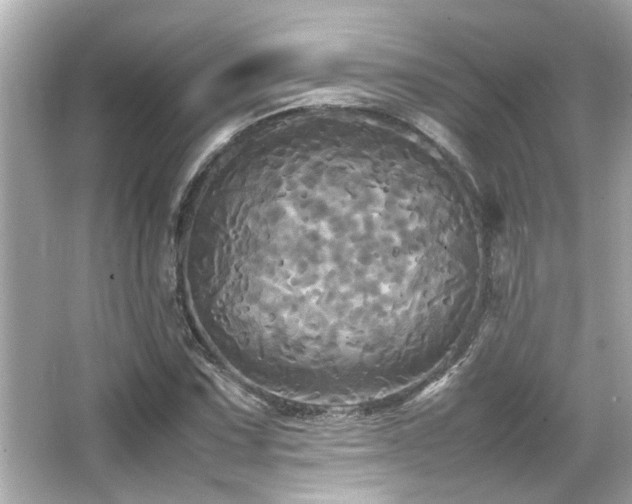 X0000066521067200603171212