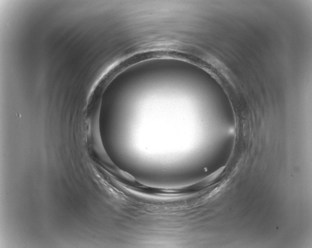 X0000066521069200603171212