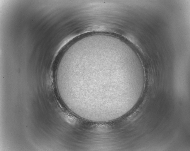 X0000066521070200603171212