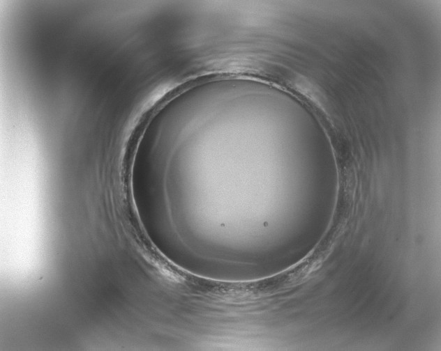 X0000066521071200603171212