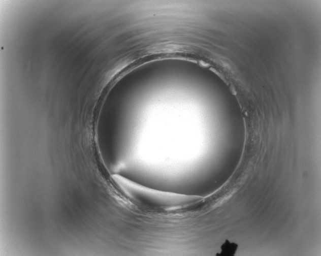 X0000066521073200603171212