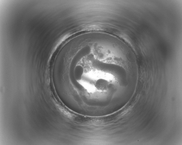 X0000066521075200603171212