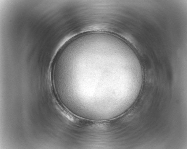 X0000066521078200603171212