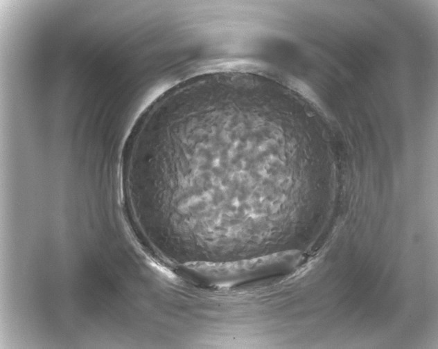 X0000066521079200603171212