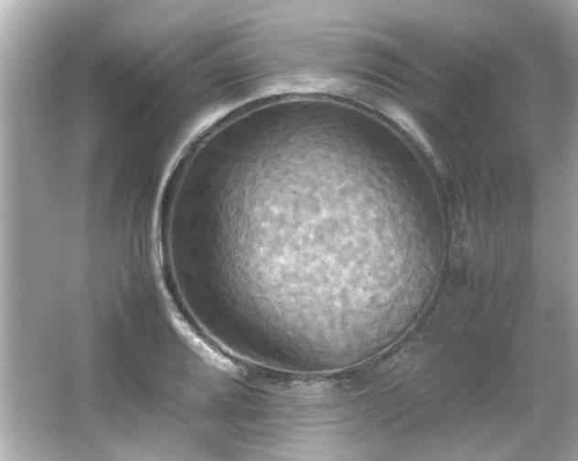 X0000066521080200603171212