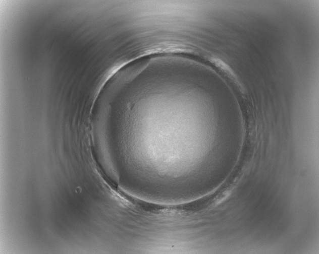 X0000066521081200603171212