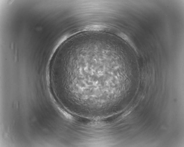 X0000066521083200603171212