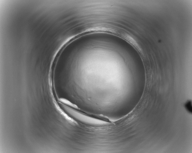 X0000066521084200603171212