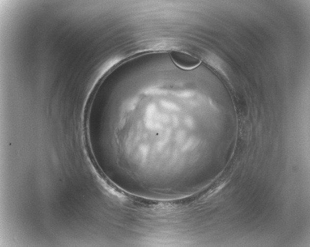 X0000066521087200603171212