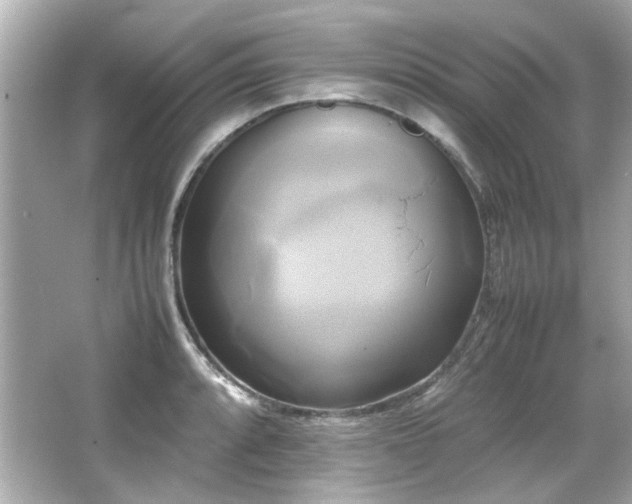 X0000066521088200603171212