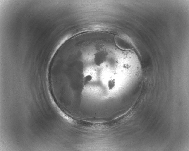 X0000066521091200603171212