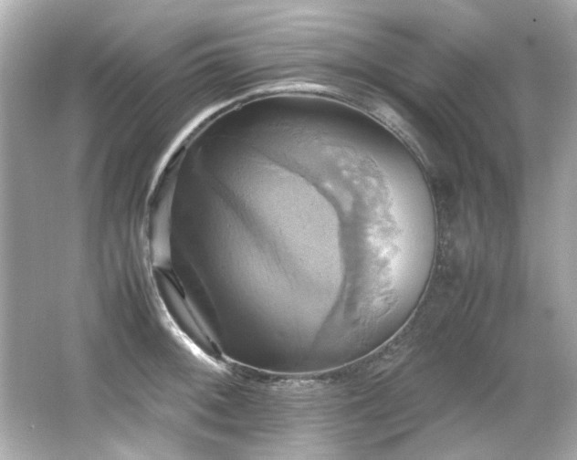 X0000066521092200603171212