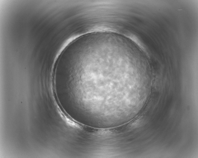 X0000066521094200603171212