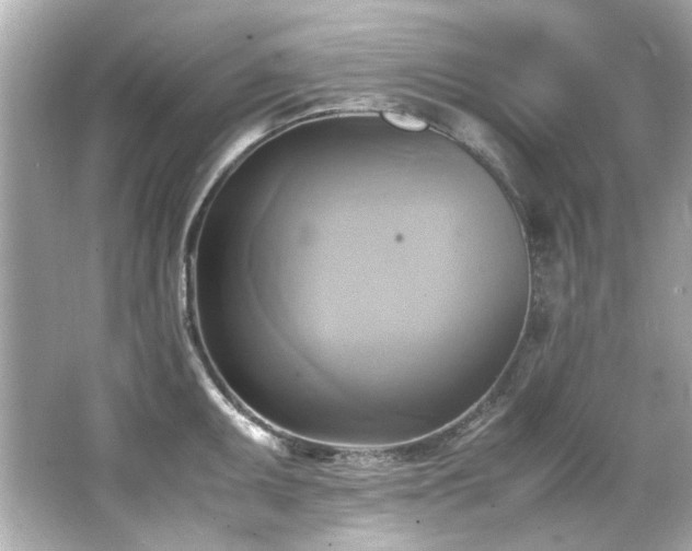 X0000066521095200603171212