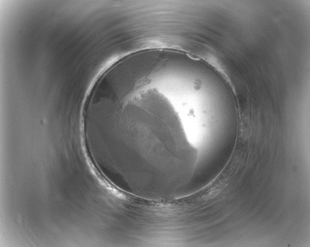 X0000066521096200603171212