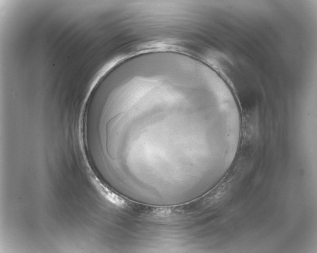 X0000066521098200603171212