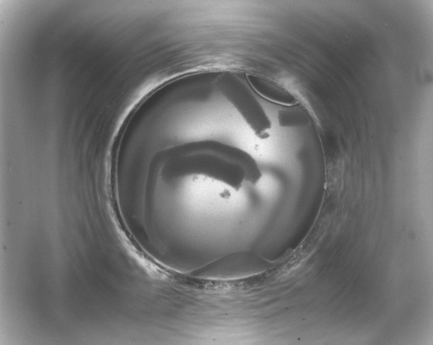 X0000066521099200603171211