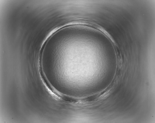 X0000066521101200603171211