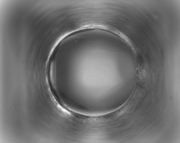 X0000066521102200603171211