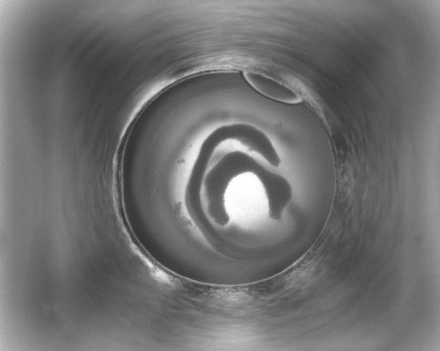 X0000066521103200603171211