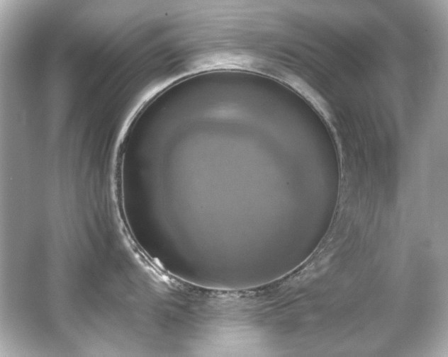 X0000066521104200603171211