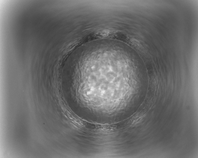 X0000066521105200603171211