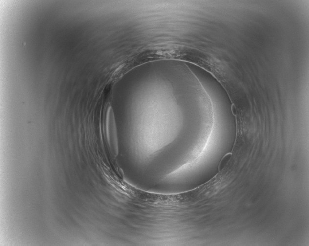 X0000066521106200603171211