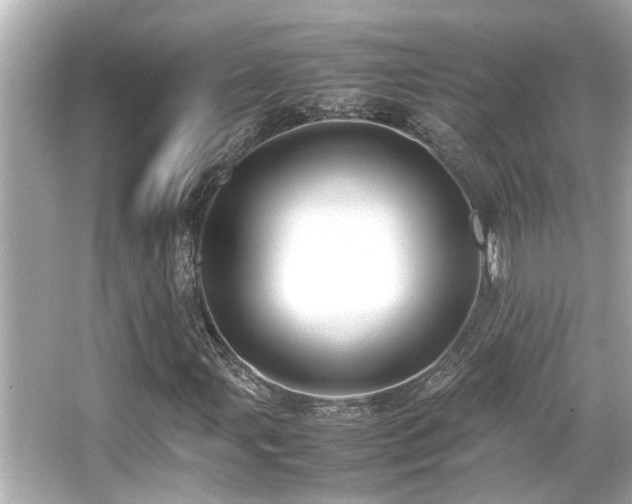 X0000066521107200603171211