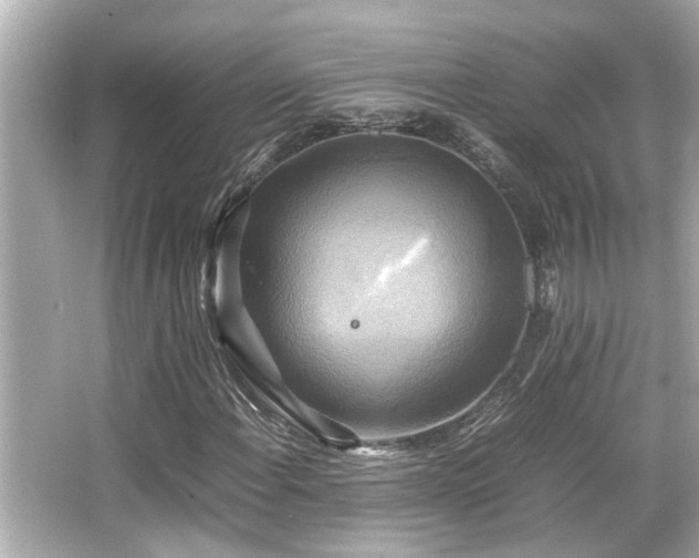 X0000066521108200603171211