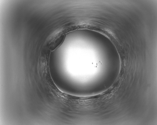 X0000066521111200603171211