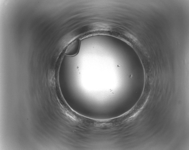 X0000066521113200603171211