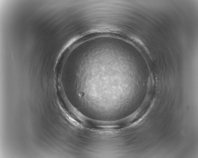 X0000066521114200603171211